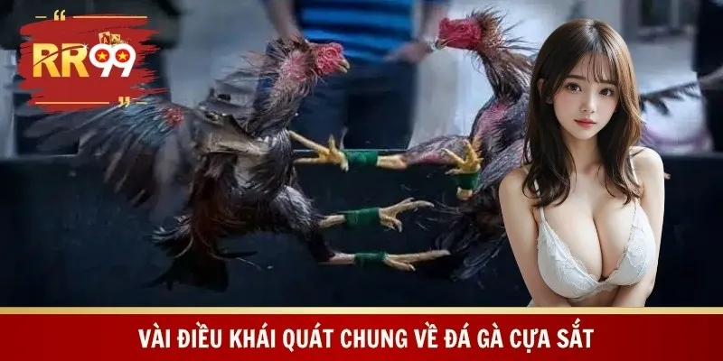 Vài điều khái quát chung về đá gà cựa sắt